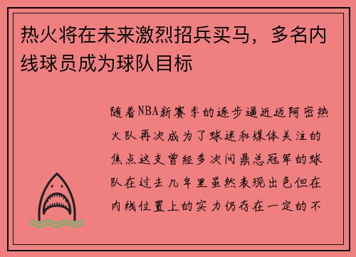 热火将在未来激烈招兵买马，多名内线球员成为球队目标